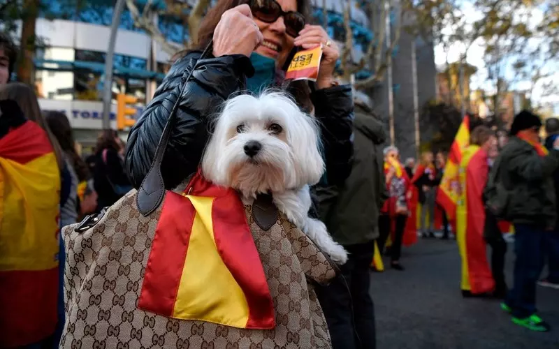 Hiszpania: Weszła w życie ustawa o dobrostanie zwierząt. Kary grzywny do 200 tys. euro