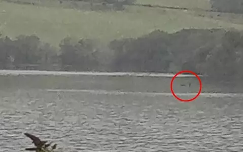 New picture shows ‘clearest evidence of Loch Ness monster ever’