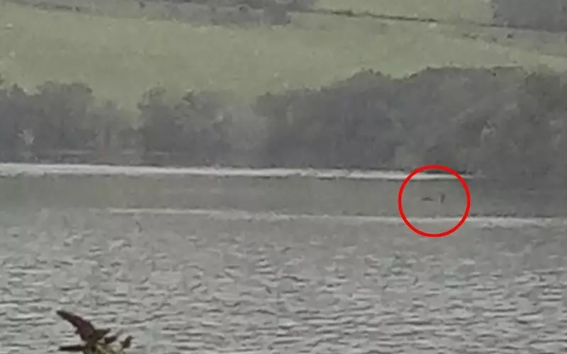 Potwór z Loch Ness znów uchwycony na zdjęciu. "Wyraźny dowód na jego istnienie"