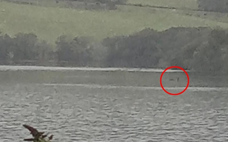 New picture shows ‘clearest evidence of Loch Ness monster ever’