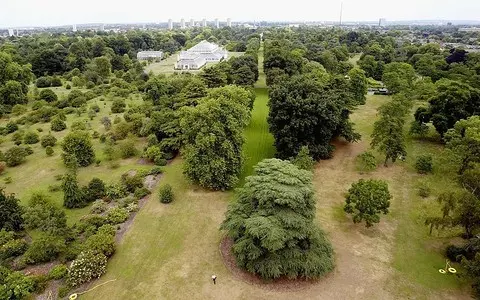 London: A special plant database is being created in Kew Gardens. Everyone will have access to it