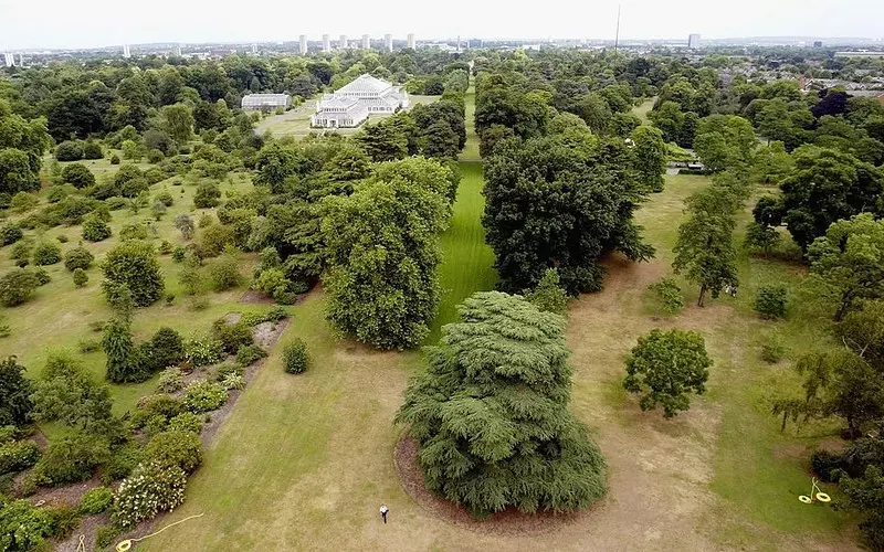Londyn: W Kew Gardens powstaje specjalna baza roślin. Wszyscy będą mieć do niej dostęp