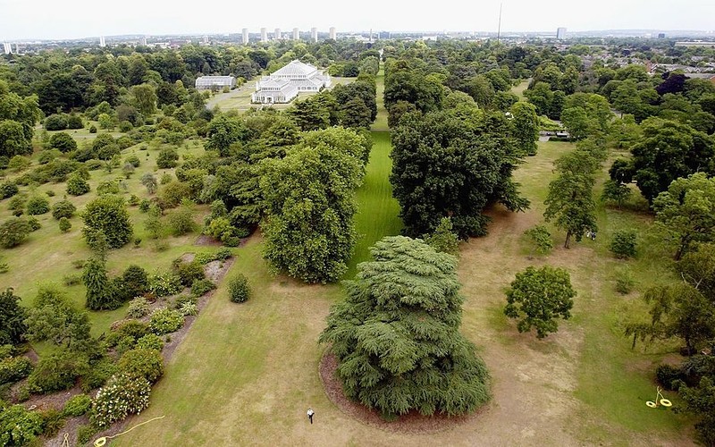 London: A special plant database is being created in Kew Gardens. Everyone will have access to it