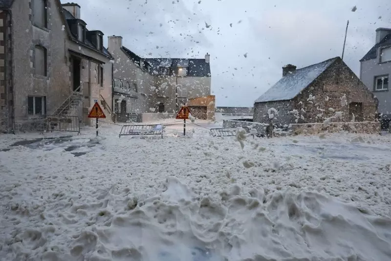 Sztorm Ciaran: Ponad milion domów bez prądu we Francji, chaos komunikacyjny w UK i Holandii