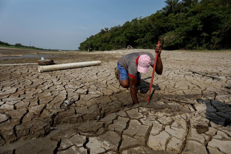 Brazil: Historic drought in the Amazon. Rivers are drying up, dolphins are dying, shipping has stopp