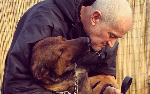 Ponad 23 tys. podpisów pod petycją w sprawie emerytury dla policyjnego psa