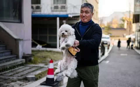 South Korea: The government announces ban on sale of dog meat