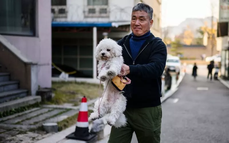 Korea Płd.: Rząd zapowiada wprowadzenie zakazu sprzedaży mięsa psów