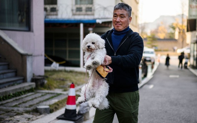 South Korea: The government announces ban on sale of dog meat