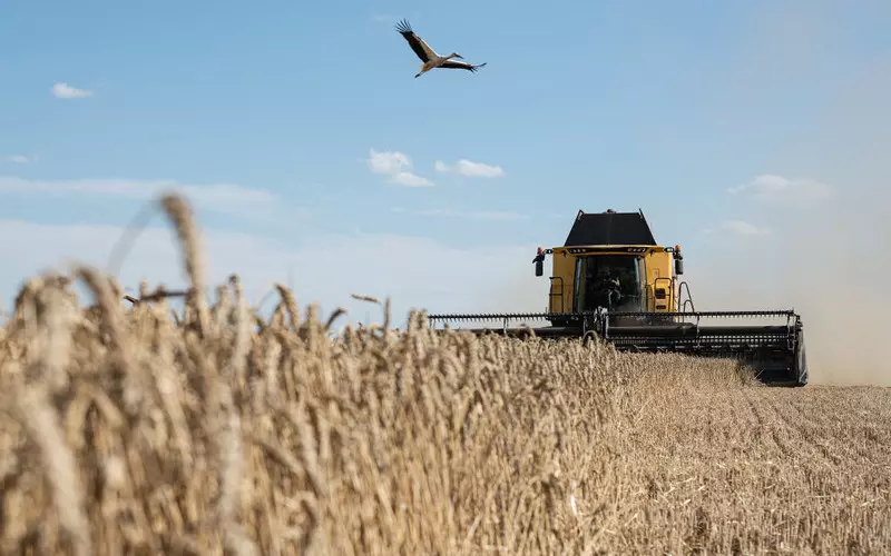 NIK: The government did not protect the Polish market against Ukrainian grain