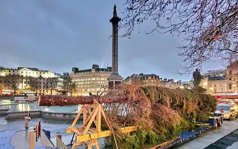 Trafalgar Square Christmas tree completes journey from Norway as social media users give verdict