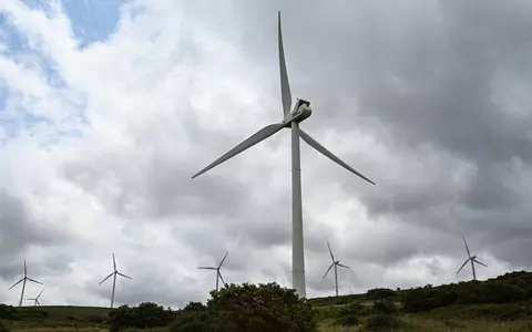 France: Court orders dismantling of seven wind turbines due to negative environmental impact