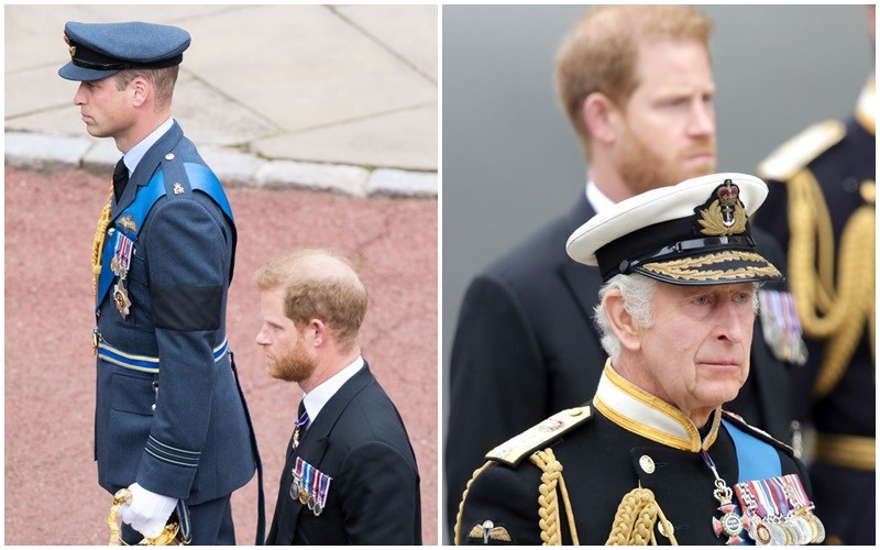 Former editor of Daily Mirror: Prince Harry's real mission is to destroy monarchy