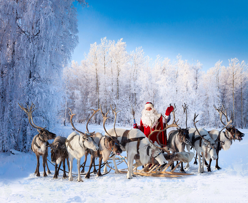 USA: The veterinary inspectorate has issued Santa's reindeer with a health certificate