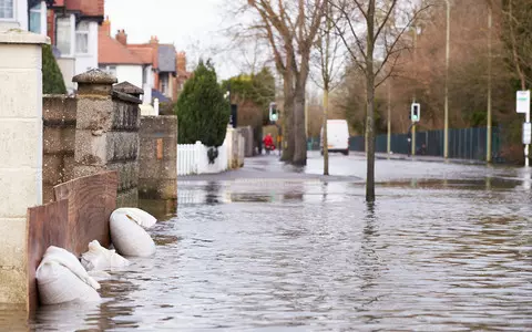 Climate change: Seasonal shifts causing 'chaos' for UK nature