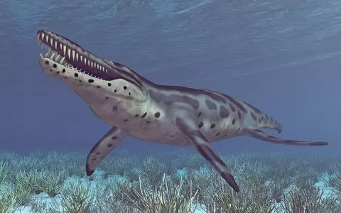 Colossal pliosaur sea monster skull on display in Dorset