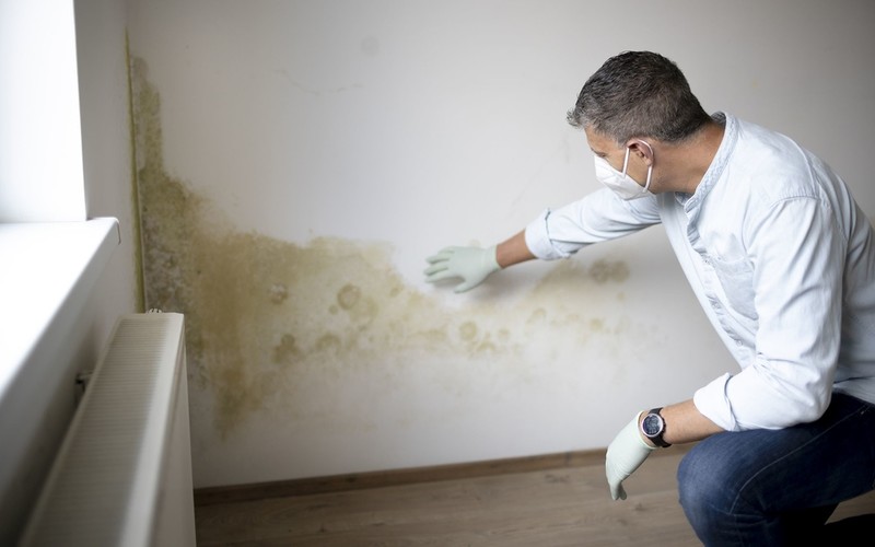 Plan to force landlords to tackle mouldy homes
