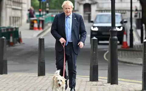 Boris Johnson's dog killed Elizabeth II's swan