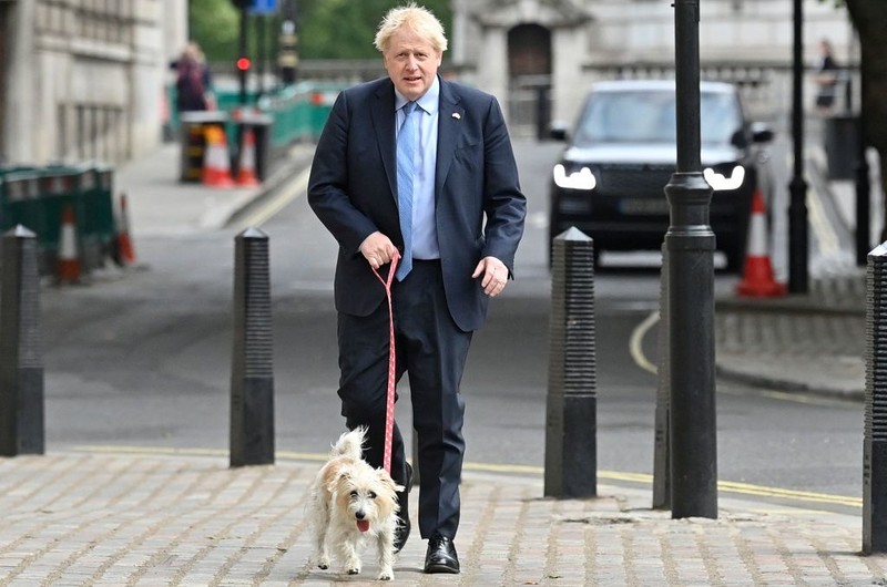 Boris Johnson's dog killed Elizabeth II's swan