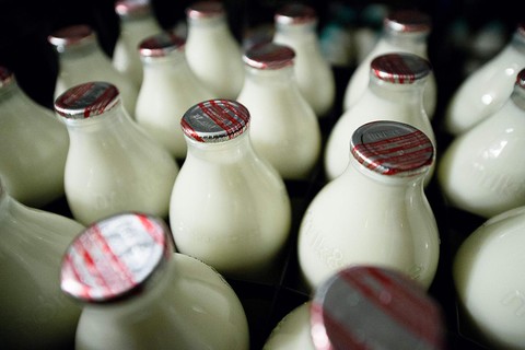 Z mleka znikną daty przydatności do spożycia? "Konsumenci powinni zdać się na węch"