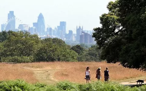 10,000 people a year could die as a result of heatwaves, MPs warn