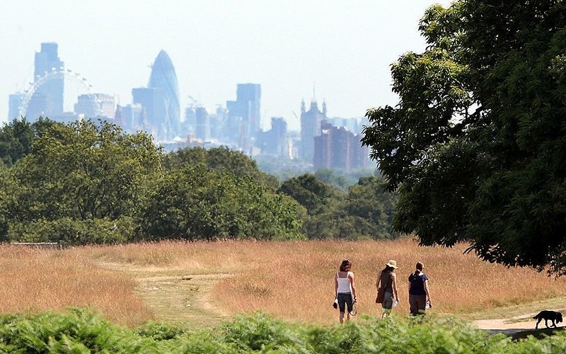 10,000 people a year could die as a result of heatwaves, MPs warn