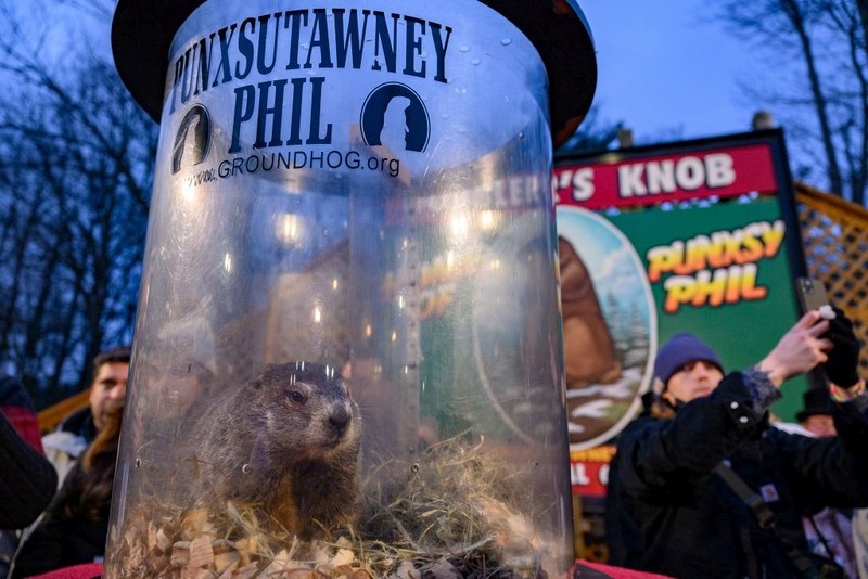 Groundhog Day: Punxsutawney Phil gives weather prediction for 2024