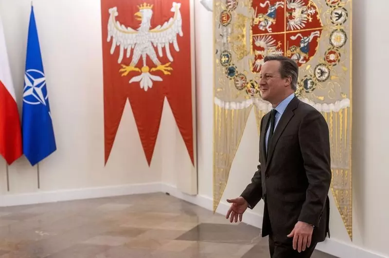 David Cameron w Polsce: Zasada "jeden za wszystkich, wszyscy za jednego" w pełni nas obowiązuje