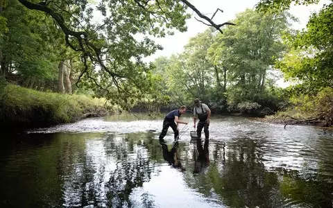 British and Irish rivers in desperate state from pollution, report reveals