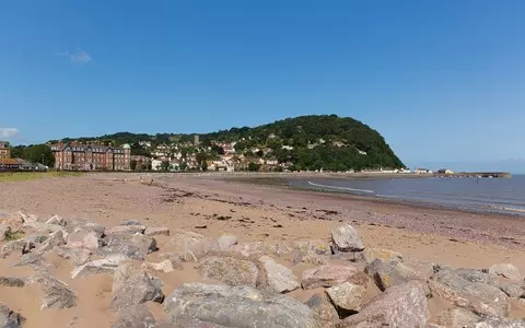 World's earliest fossilised forest discovered in Minehead, Somerset