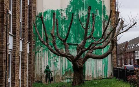 Banksy London tree mural: Artist confirms work is his own