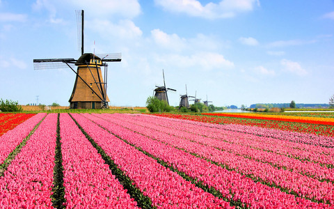 Netherlands the most popular spring travel destination