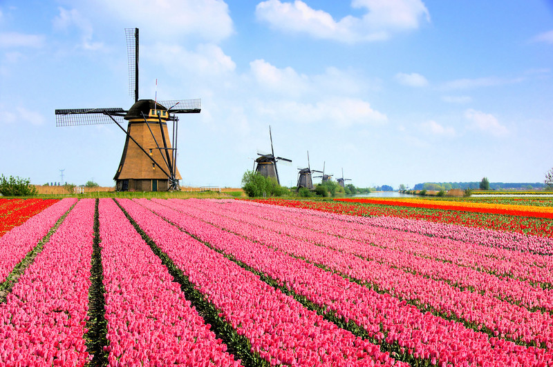 Netherlands the most popular spring travel destination