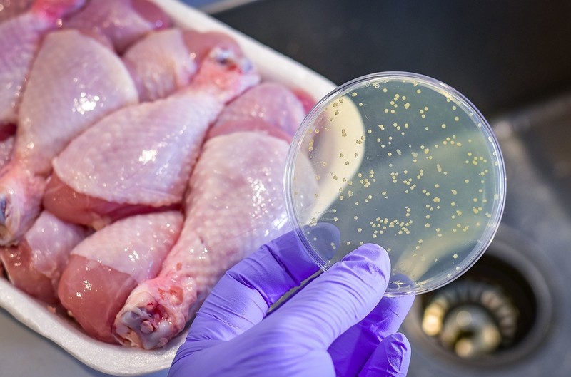 Possible ban on Polish poultry products to the UK. It's all because of salmonella