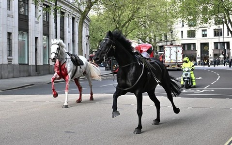Army horses gallop through central London, several injured