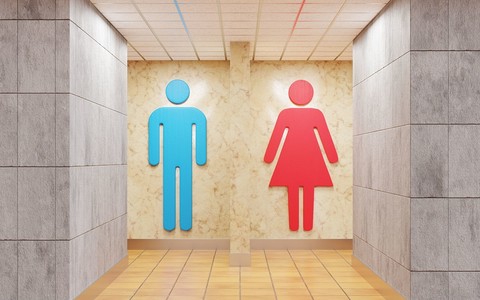 Single-sex toilet law proposed for new buildings