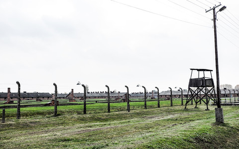 Videoconference in the process of English teenagers accused of theft in Auschwitz