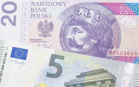 Do Poles support adoption of euro? Approach to common currency is changing