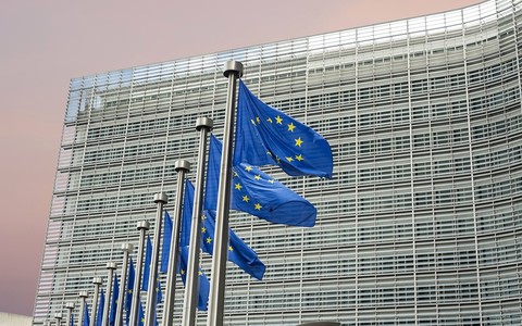 Five defining themes for the upcoming European Parliament
