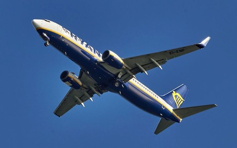 Ryanair staff 'screamed stop it' as 'drunk Brits carried out lewd act in front of kids'