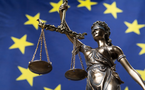 Rada UE: Przymusowe małżeństwa i nielegalna surogacja przestępstwami związanymi z handlem ludźmi