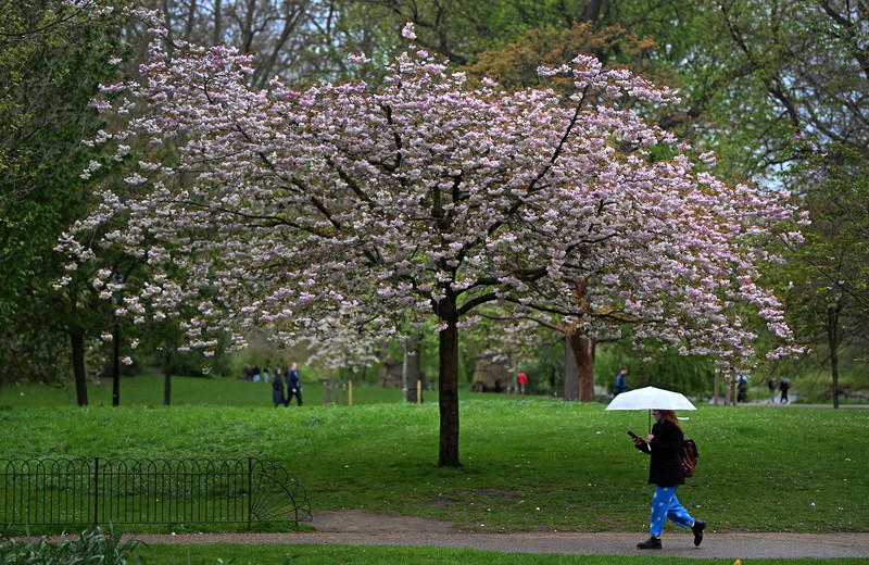Maj i cała wiosna były najcieplejszymi w historii pomiarów w Wielkiej Brytanii