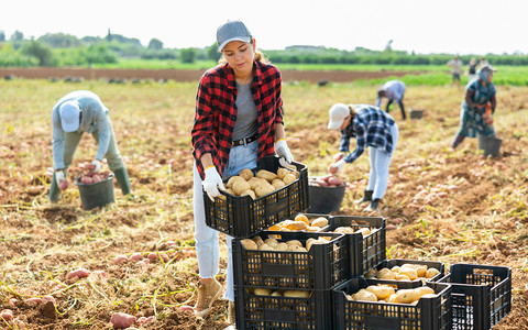 Już co czwarty pracownik rolny w UE to imigrant