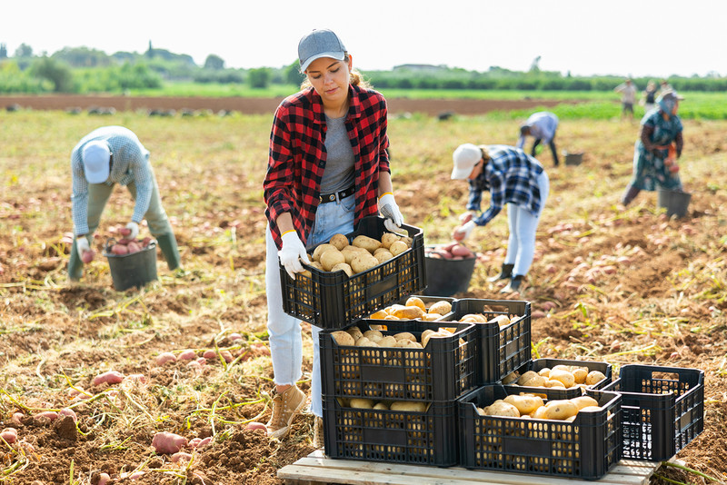 Już co czwarty pracownik rolny w UE to imigrant