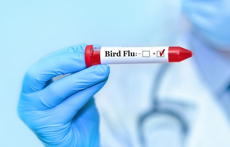 Man in Mexico dies with first human case of H5N2 bird flu