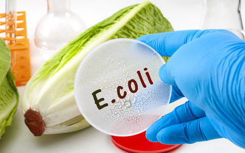 Pełna lista produktów firmy Greencore wycofanych z powodu zagrożenia zakażeniem bakterią E. coli