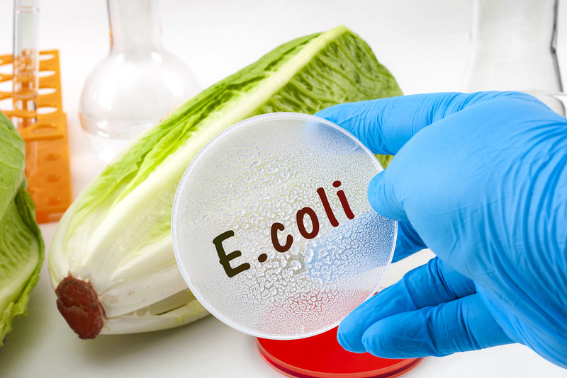 Pełna lista produktów firmy Greencore wycofanych z powodu zagrożenia zakażeniem bakterią E. coli