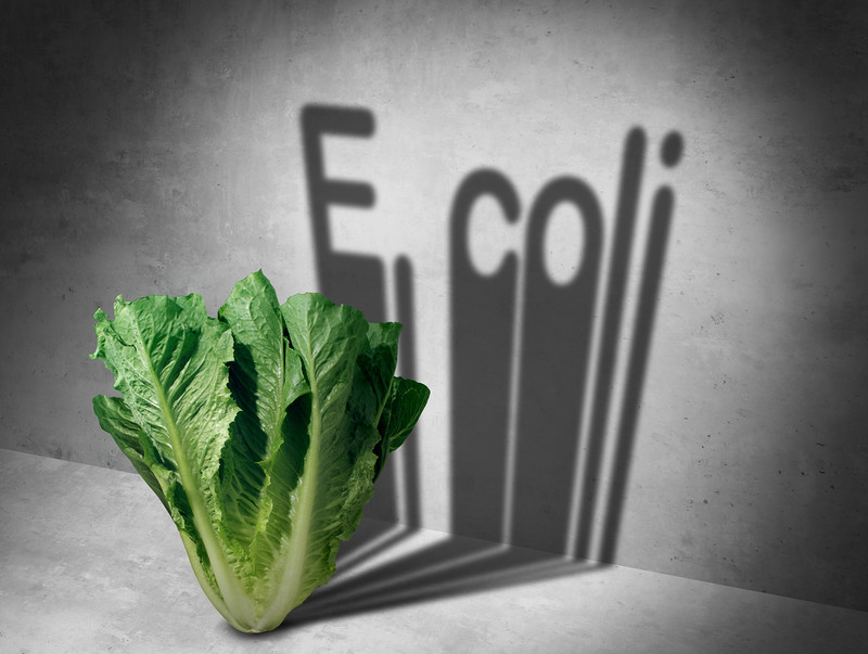 UK: Już 86 osób trafiło do szpitali z powodu bakterii E. coli