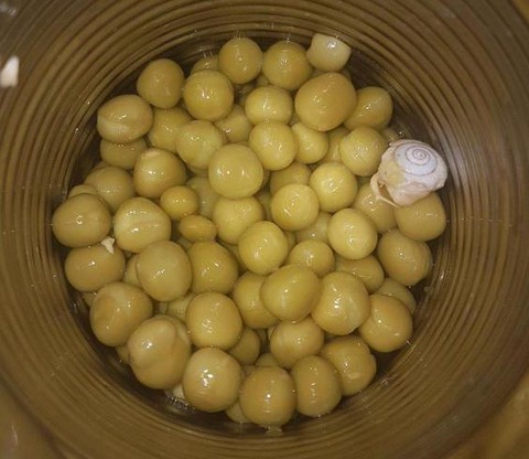 'I just wanted egg fried rice!' Nanny disgusted after finding snail in tin of peas