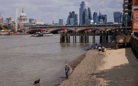75% rzek w Wielkiej Brytanii jest w złym stanie ekologicznym